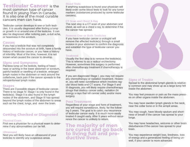 Testicular Cancer Brochure